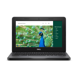 Dell Chromebook 3120 2-in-1